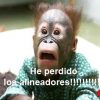 perdida alineadores invisalign